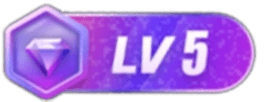 等级-LV5-星次元